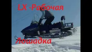 Мама с папой зря старались.. если сына взял Polaris