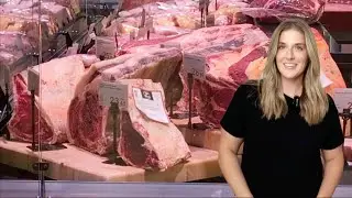 Carnivore Grocery Shopping in Spain