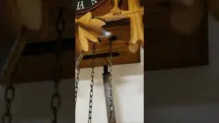 Finding the cause of a squeaky cuckoo clock