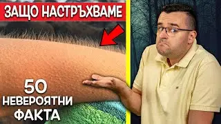 50 Невероятни Факта, които ще ИСКАТЕ да ПРОВЕРИТЕ дали са ИСТИНА!