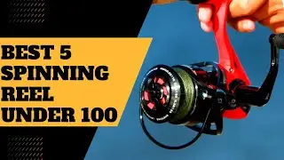 BEST 5 Spinning Reels Under 100 (5 BEST Spinning Reels Under 100) Spinning_Reels_Under_100