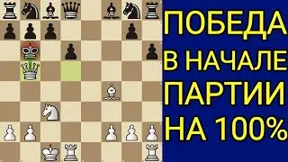 Это самая красивая комбинация в начале партии! МАТ за пару ходов БЕЗ ферзя! Шахматы ловушки