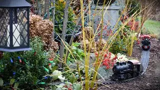 Creating a Winter Garden Railroad with Branches, Berries, and Evergreens! 🚂🌼🎄Christmas Outdoor Train