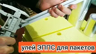 УЛЕЙ ЭППС ДЛЯ ПАКЕТОВ. ПАЗ ДЛЯ ПЕРЕГОРОДКИ. ВОСЬМИРАМОЧНИК. BEEKEEPING. BEE. ПЧЕЛОВОДСТВО.