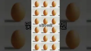 계란🥚