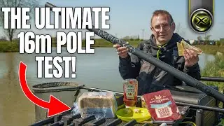 The ULTIMATE 16m Pole Fishing test! | MTX-4 V2 Sandwich review!