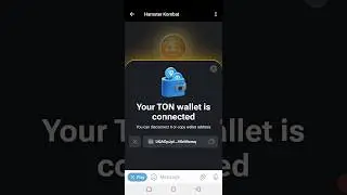 How To Connect Ton Wallet On Hamstar Combat #shorts