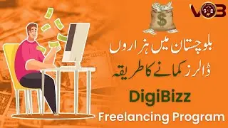 DigiBizz Freelancing Program | Earn Dollars in Balochistan