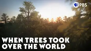 When Trees Took Over the World