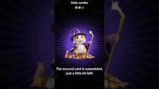 31 AUGUST HAMSTER KOMBAT DAILY COMBO CARDS TODAY