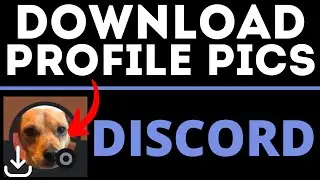 How to Save Discord Profile Picture - Download Discord Profile Pictures