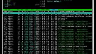 Утилита htop как менеджер процессов в Linux