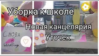 Подготовка уточек к школе💕Уборка на рабочем столе😍Милка и Роза