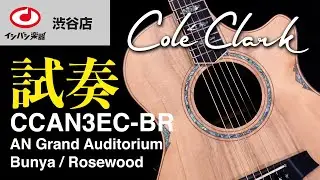 【コールクラーク選びガイド】Cole Clark CCAN3EC-BR 試奏動画　特長、サウンドをご紹介します。【渋谷店】【アコースティック ギター】