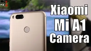 Xiaomi Mi A1 Camera Review: Sample Photos and Videos