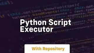 python script executor