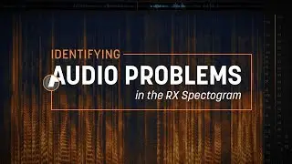 Identifying Audio Problems in the RX Spectrogram