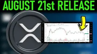 🚨XRP TODAY WE GET THE NEWS 🚨