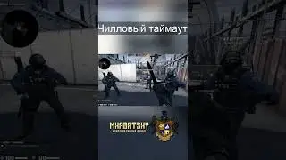 ЧИЛЛОВЫЙ ТАЙМАУТ В CS GO #Shorts #csgo #counterstrike