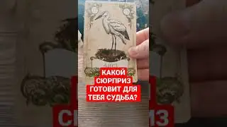 Какой сюрприз готовит для тебя судьба? #таро #расклад #гадание #ленорман #розклад #ворожіння