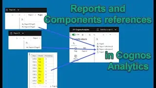 530 Report and Component Reference in Cognos Analytics