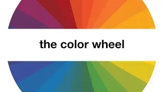 Understanding the Color Wheel: A Simple Guide for Beginners