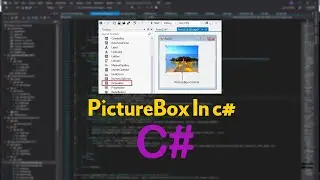 Using PictureBox in C#