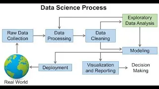 Exploratory Data Analysis: Your Path to Data-Driven Decisions! (4 Minutes)