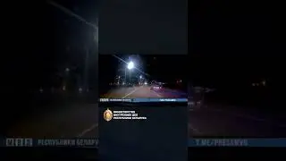 На Гомельщине со стрельбой задерживали бесправника 