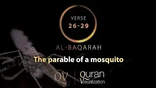 Surah Al-Baqarah | Verse 26-29 |  Quran Visualization