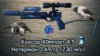 Кроухантинг : Июльский рейд , Корсар Компакт 4.5 + новая озвучка . Crowhunting