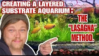 Creating A Tank That Will Last Forever! The Low Maintenance Planted Aquarium. THE LASAGNA METHOD!