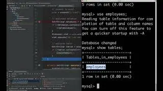 Java Tutorial: MySQL JDBC Example