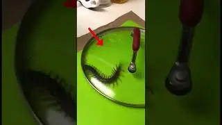 How mad would you be 😦 