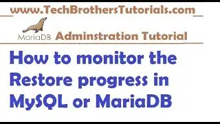 How to monitor the Restore progress in MySQL or MariaDB - MariaDB Tutorial