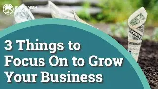 3 Things to Focus On to Grow Your Business