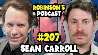 Sean Carroll: Quanta, Fields, and the Philosophy of Quantum Physics | Robinson's Podcast 