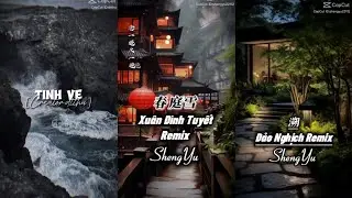 [Tik Tok] Tổng hợp nhạc Trung remix cực hay, nghe là nghiện