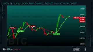 BITCOIN LIVE CHART ( 1 HOUR TIME FRAME )