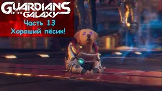 ПЁС В БЕДЕ – Прохождение 