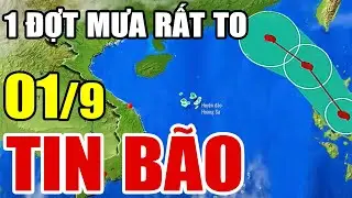 Dự báo thời tiết hôm nay và ngày mai 1/9/2024 | dự báo bão mới nhất | thời tiết 3 ngày tới