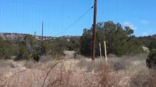 Ravens by the Dozen Eating Flying Talking