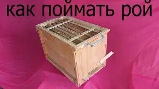 ловушка для пчёл. Бомба. Как поймать рой. Ловушка для пчел своими руками. Пчеловодство. Пчелы Пасека