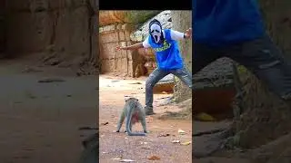 Ghost vs monkey prank went wrong | Viral shorts