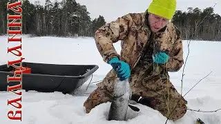 Однажды на рыбалке в феврале. НАШЕЛ ОЗЕРО, где такой Рыбалки больше не будет Никогда