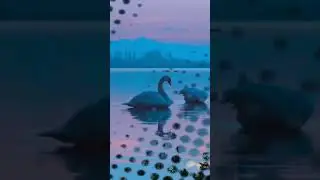 Временные люди в вашей жизни