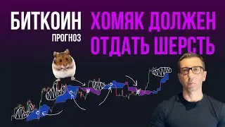 БИТКОИН 🦫 ХОМЯК ДОЛЖЕН ОТДАТЬ ШЕРСТЬ