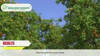 Sahajchem Products- Plant Growth Promoter results