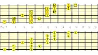 Neck Dominating & Speed Building Guitar Scale Runs