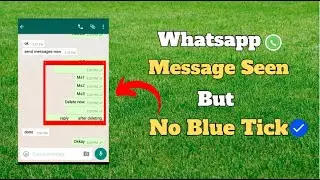 How to Read WhatsApp Messages without showing Blue Tick | Seen without knowing sender